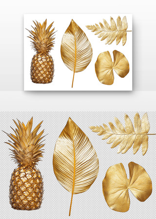 金色的菠萝和叶子 PNG