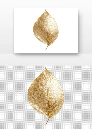 金色的叶子 PNG