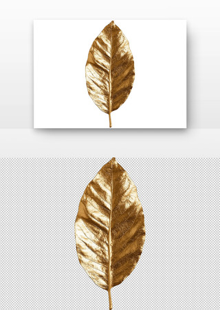 金黄的树叶 PNG