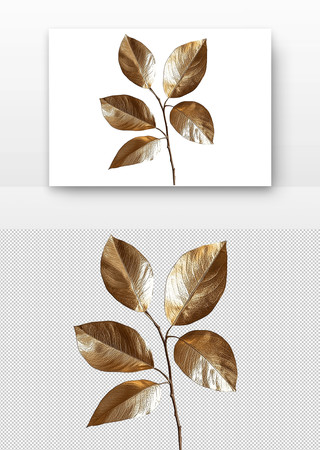 金色的树叶 PNG