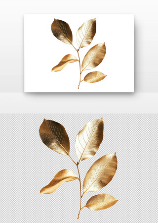 金色的树叶 PNG