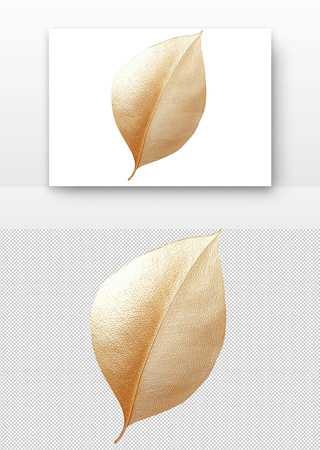 金色叶子 PNG