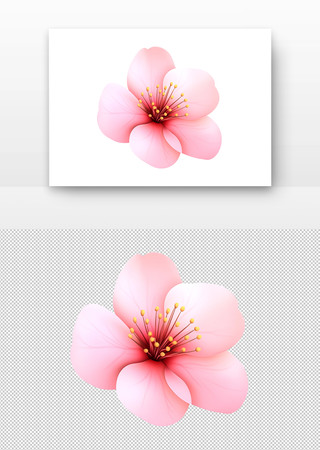 粉色樱花 粉色樱花