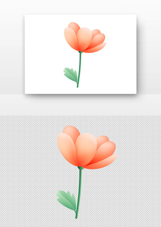 橙红花朵 橙红花朵