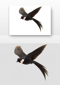 ɫë