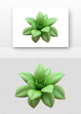 ɫĶֲ