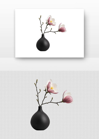 花瓶中的玉兰地产装饰 PNG