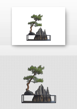 松树盆景 PNG
