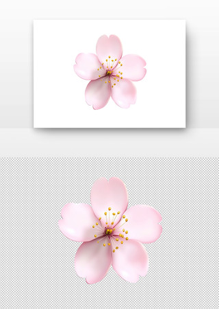 粉色的樱花
