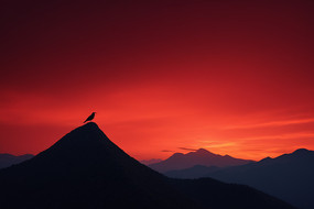 ɽۺϼȼ