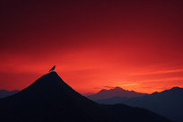ɽۺϼȼ