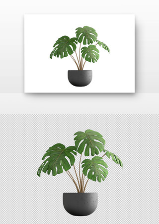 绿色植物盆栽 PNG