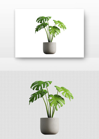 绿叶植物 PNG