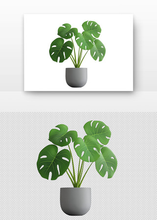 绿叶植物 PNG