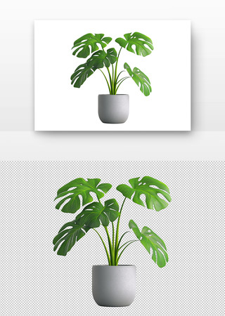 绿叶植物 PNG