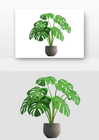 绿叶植物盆栽 PNG