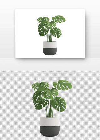 绿叶植物置于花盆中 PNG