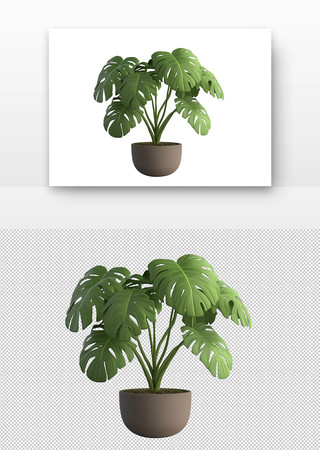 绿植盆景 PNG