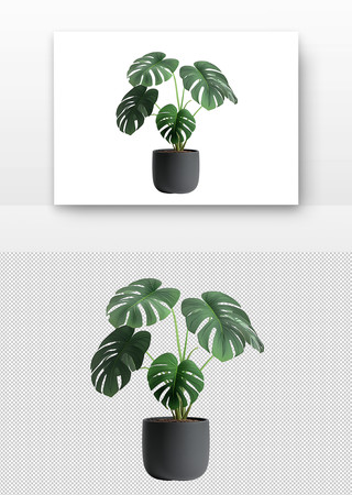 绿植盆栽 PNG