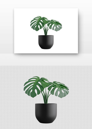 绿植盆栽 PNG
