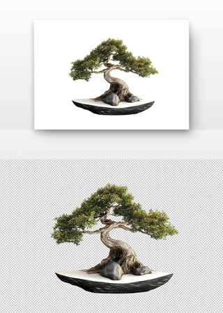 盆景 PNG