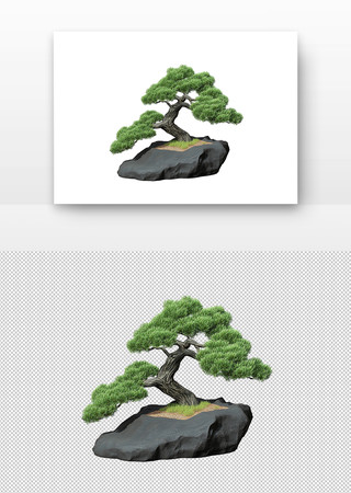 松树与岩石 松树与岩石