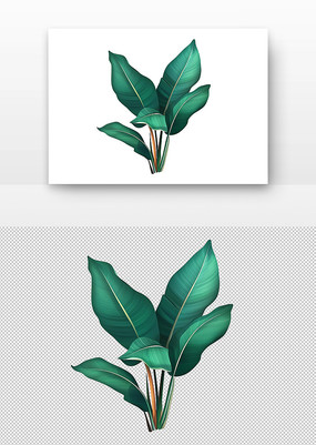 ̵Ҷ