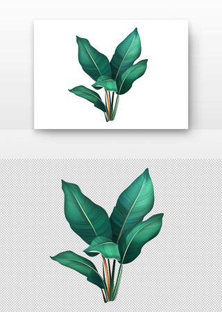 翠绿的叶子 PNG