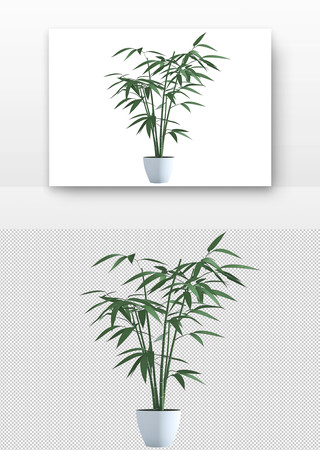竹子盆栽 PNG