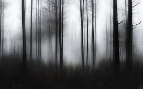 ɭֵľ֮