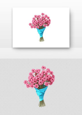 3dۺɫ