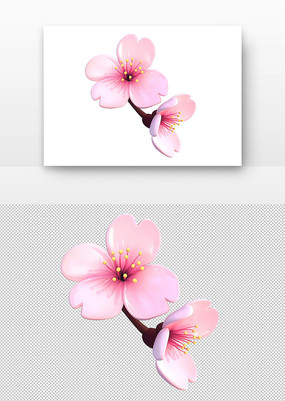 3dӣӣ