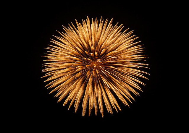 夜空中绽放的金色烟花 夜空中绽放的金色烟花