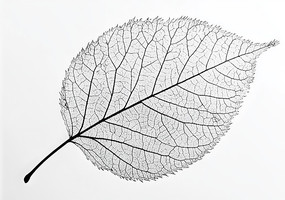 յҶ