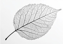 յҶ