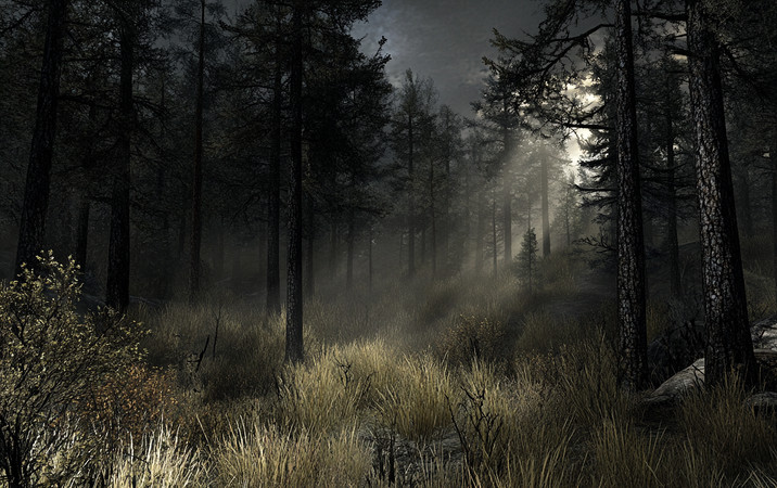 �峿��ɭ�� PNG