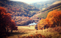 ɽкҶ