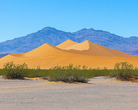 ɳĮ�еĽ�ɫɳ����Զ����ɽ��