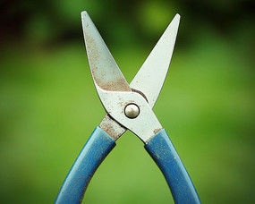 ļ