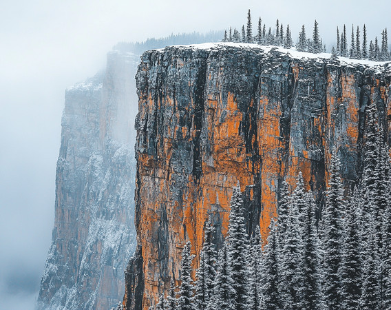 雪覆盖的峭壁与森林 雪覆盖的峭壁与森林