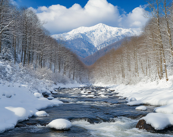 雪覆山间溪流穿林