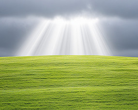 ݵϵĹ͸Ʋ