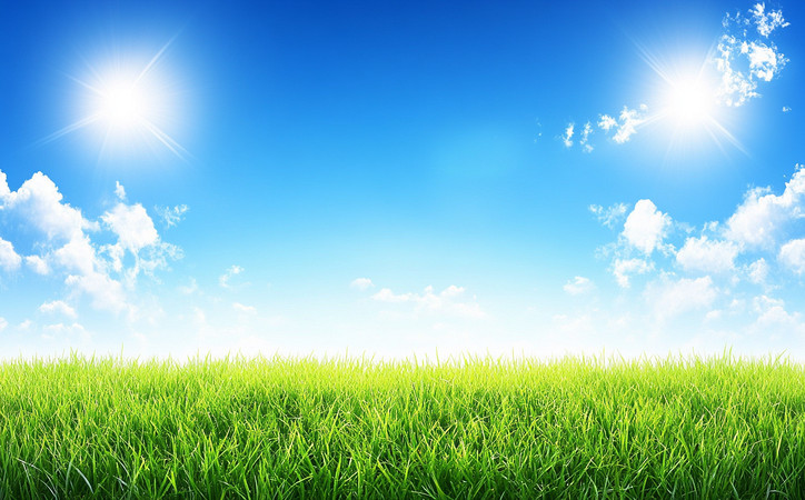 ��������µĴ��̲ݵ�3 PNG