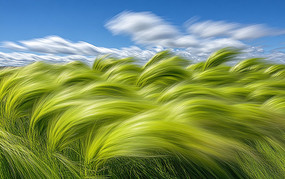 ķ֮