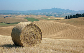 ĽɫԲԶɽǰ