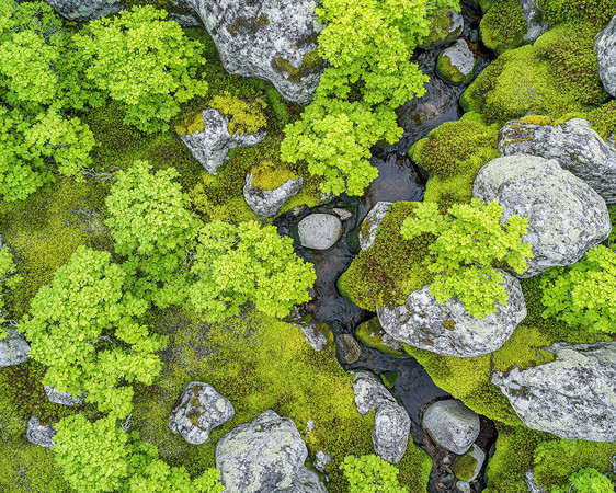 溪流旁的苔藓与石头 溪流旁的苔藓与石头