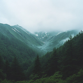 Ƶɽ