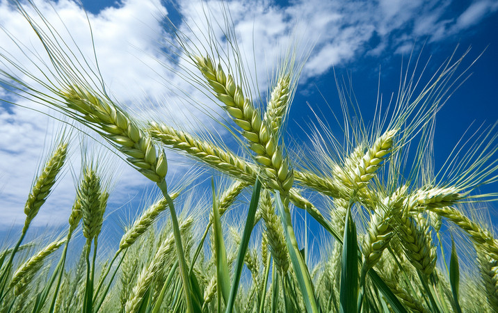 �������������ҡҷ����