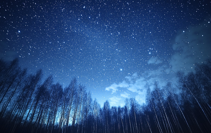 夜空下的星河与森林 夜空下的星河与森林