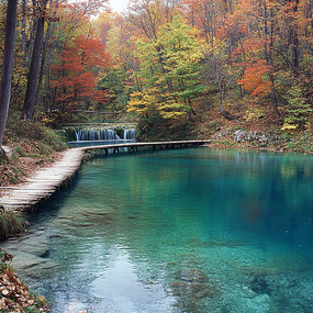 ���յı�ˮ�ٲ���ľ�ž���